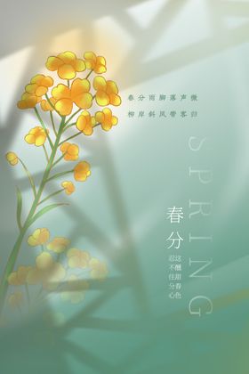 春日黄花绽放清新图景