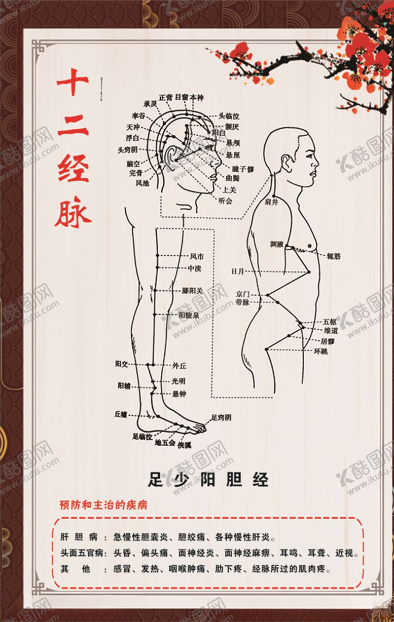 编号：69245909142055595713【酷图网】源文件下载-足少阳胆经