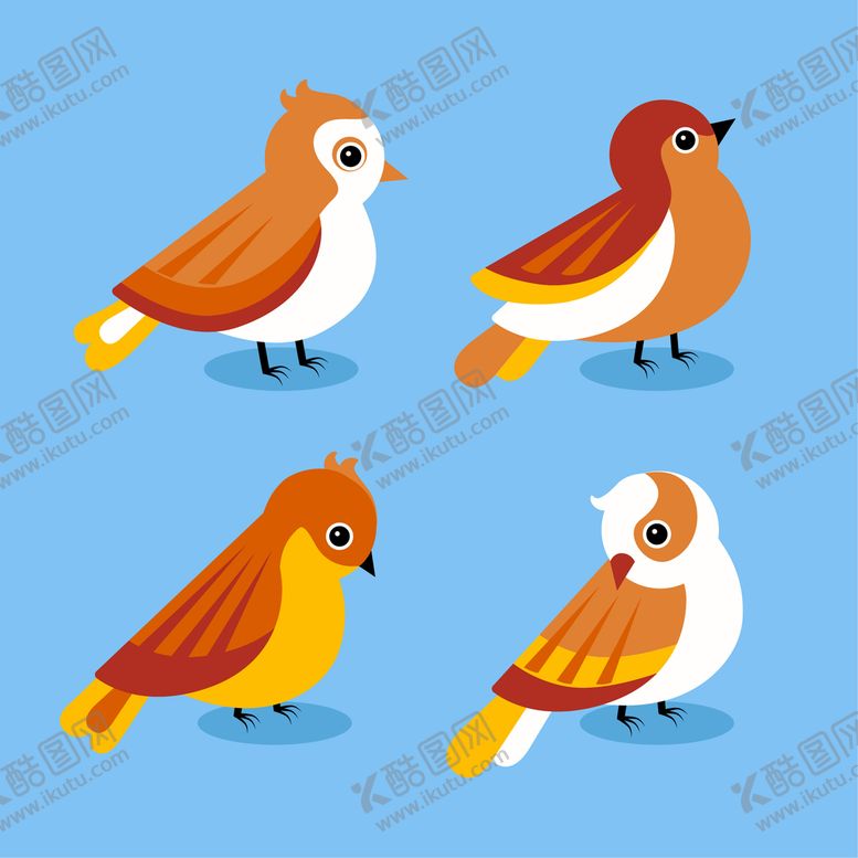 编号：10348609122021054716【酷图网】源文件下载-知更鸟 鸟类动物