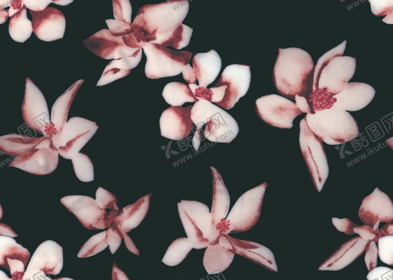 编号：48840409120123428530【酷图网】源文件下载-大花朵