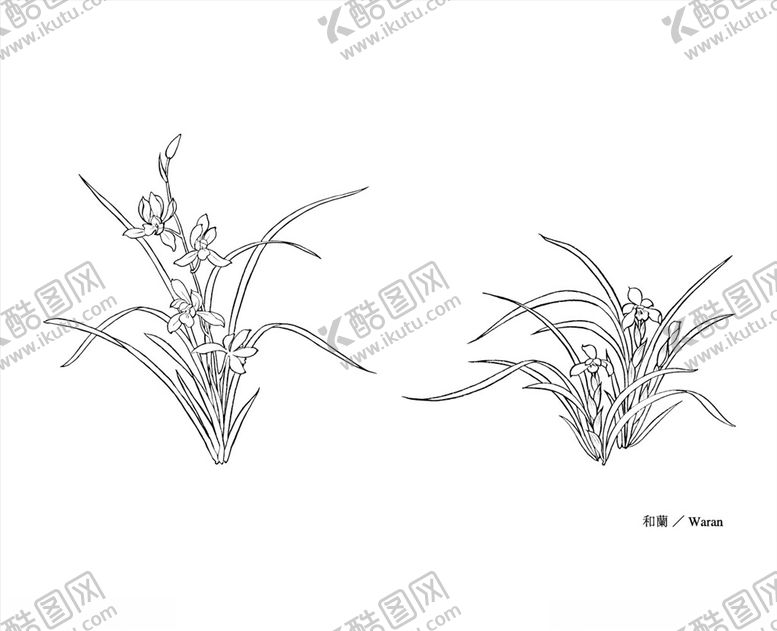 编号：19574407031339318388【酷图网】源文件下载-线描花朵