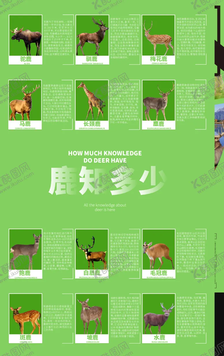 编号：76443712090744465639【酷图网】源文件下载-排版