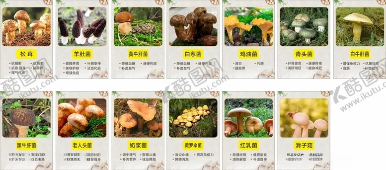 编号：83746203311606181001【酷图网】源文件下载-野生菌菇