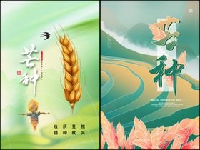 芒种海报