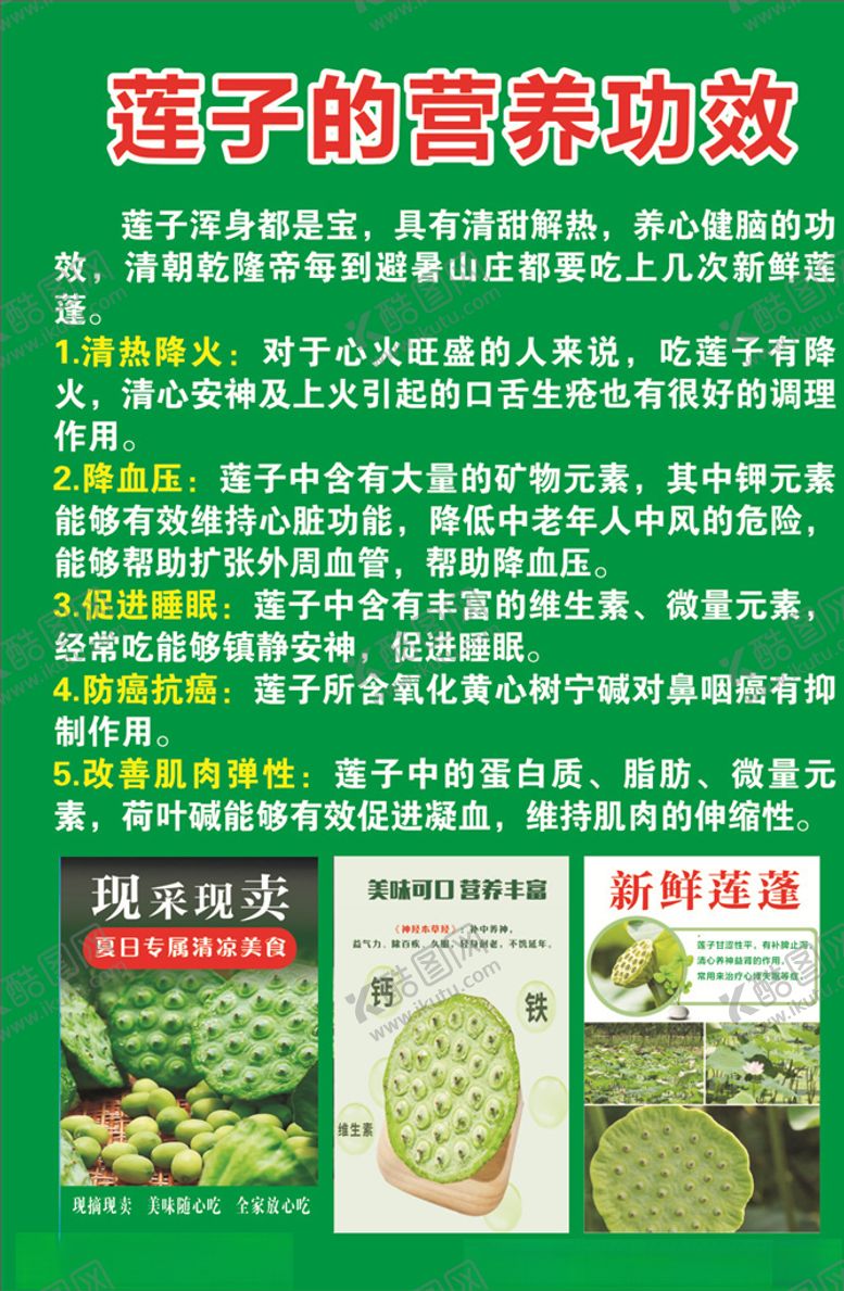 编号：54228507011940421381【酷图网】源文件下载-莲子的营养功效