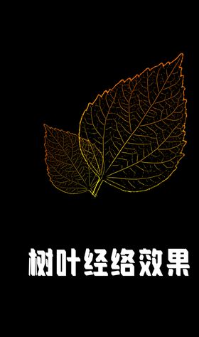 树叶效果