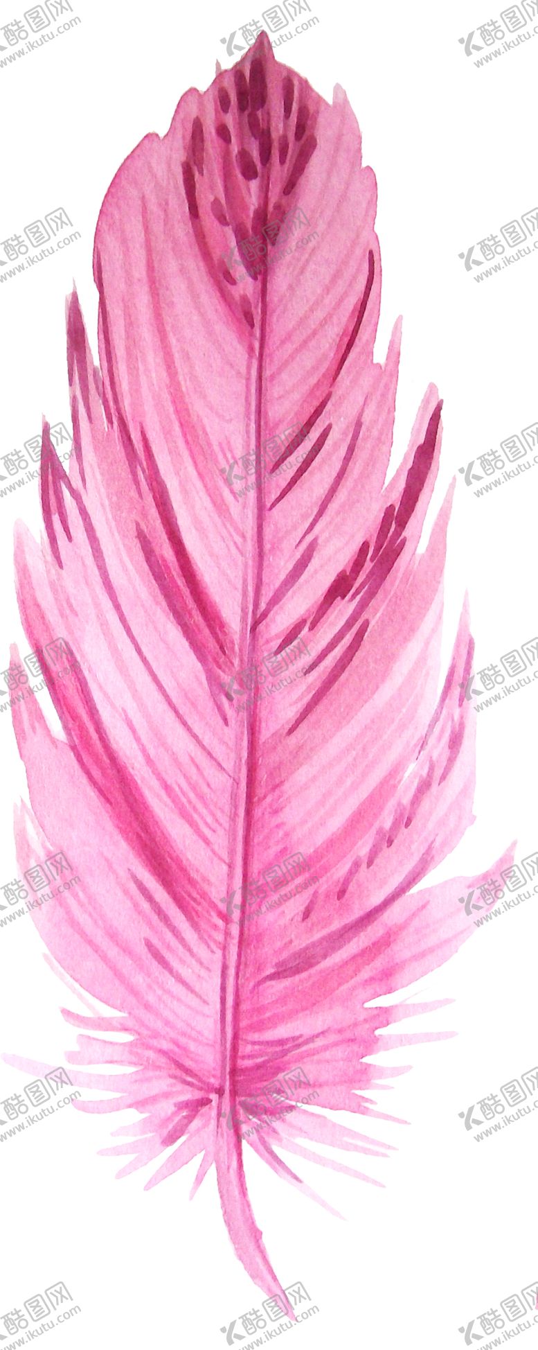 编号：33794010041752144204【酷图网】源文件下载-手绘水彩羽毛