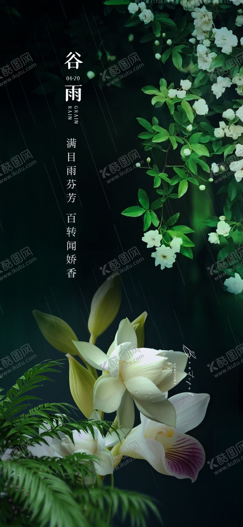 编号：43578904101318374386【酷图网】源文件下载-优雅绽放的清新白色兰花