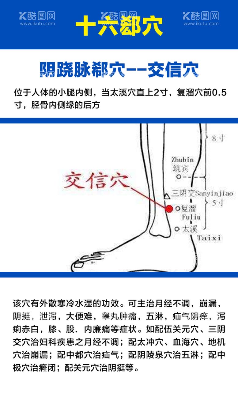 编号：68224911130643021433【酷图网】源文件下载-十六募穴