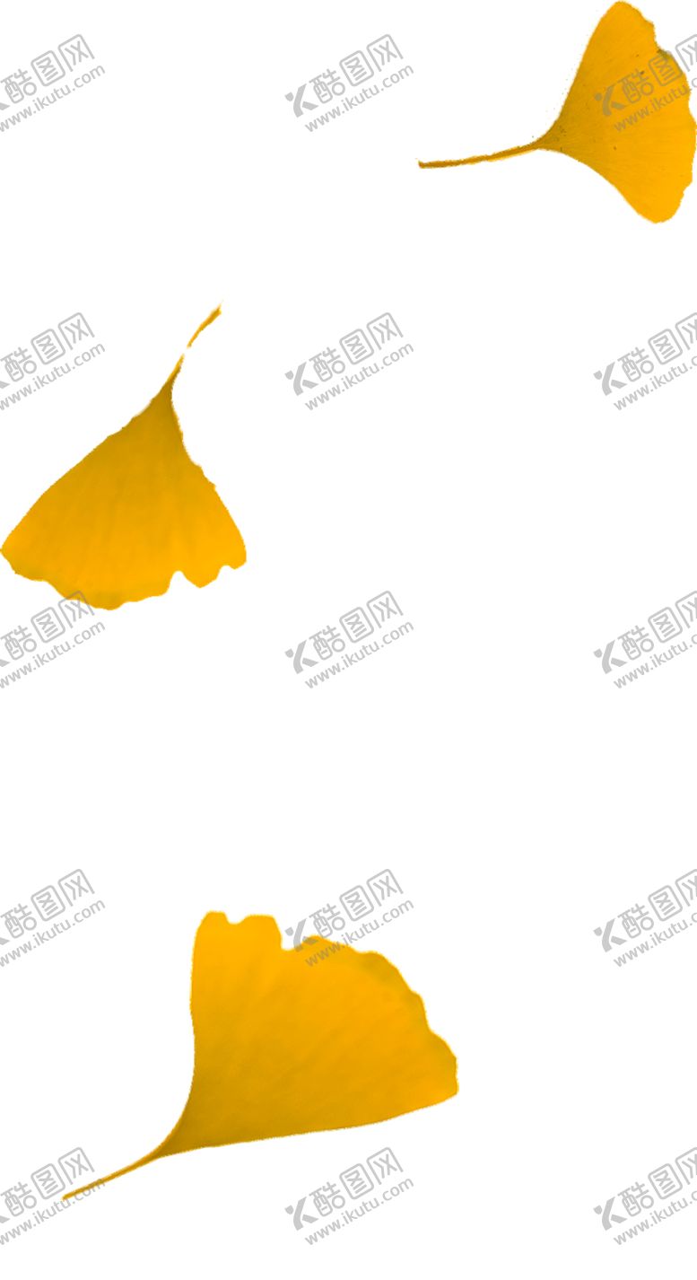 编号：60939810142045273873【酷图网】源文件下载-树叶