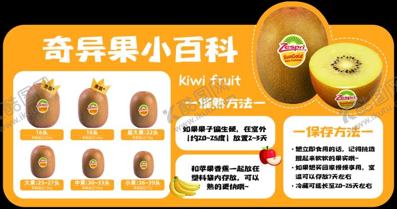 编号：65429709141755368884【酷图网】源文件下载-奇异果小百科介绍