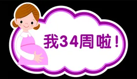 手举牌