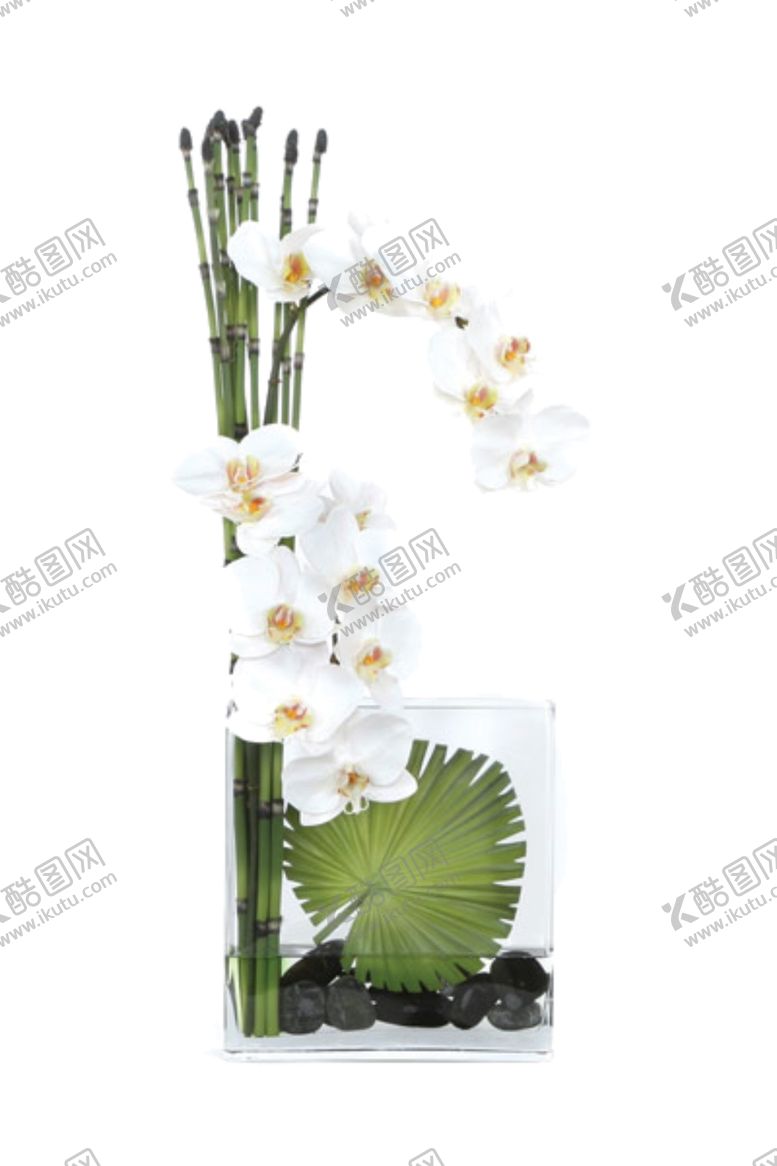 编号：95671706170103525907【酷图网】源文件下载-免抠背景花草树木