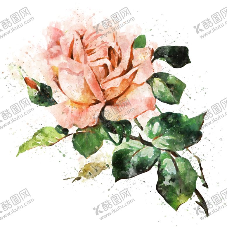 编号：50361509190440268696【酷图网】源文件下载-手绘花卉