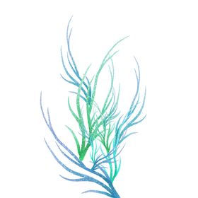 国潮水草元素