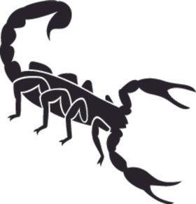 昆虫系列蝎子剪影