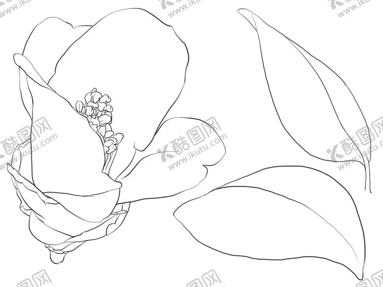 编号：79392106142109236549【酷图网】源文件下载-向日葵素描
