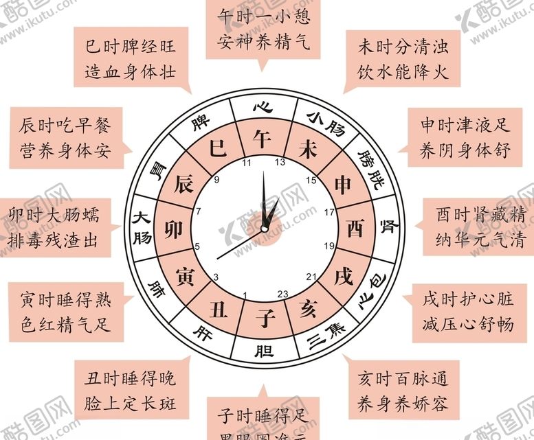 编号：89163610212301254887【酷图网】源文件下载-时辰养生表