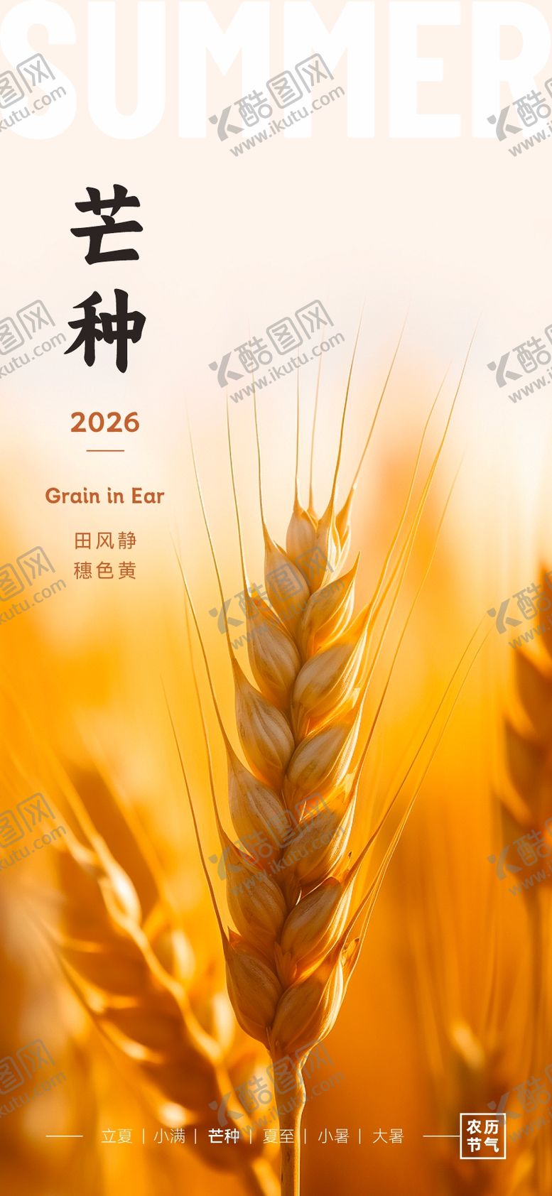 编号：35420305312349002579【酷图网】源文件下载-二十四节气海报芒种