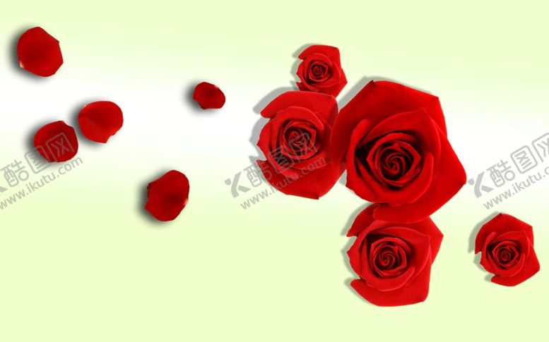 编号：82003810300303339331【酷图网】源文件下载-玫瑰花