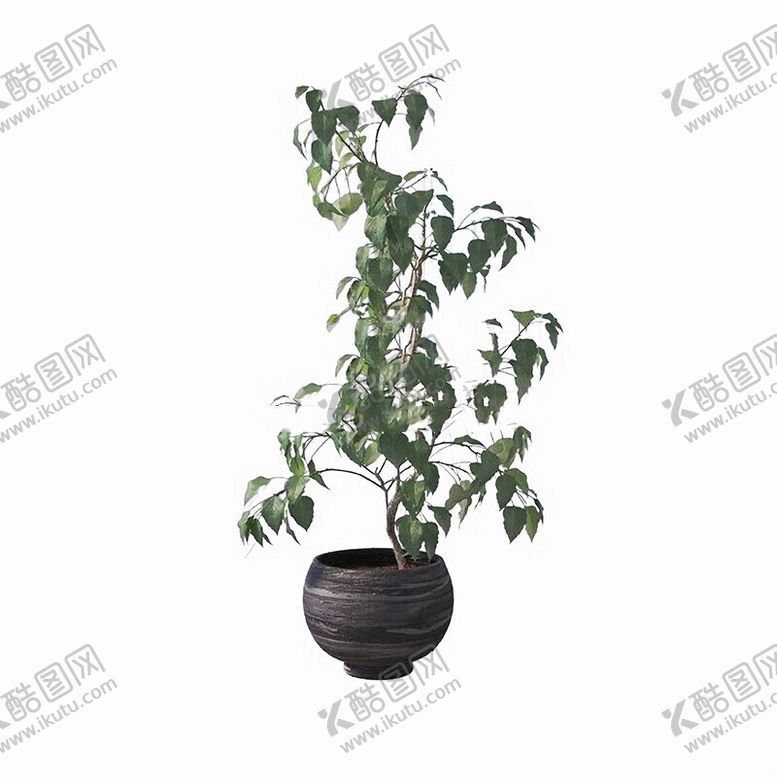 编号：87818301251553472910【酷图网】源文件下载-C4D模型绿色植物
