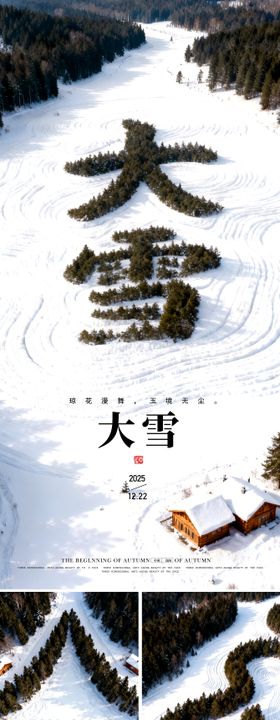 大雪中式海报