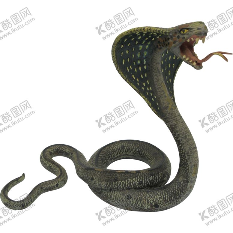 编号：21272305050820146556【酷图网】源文件下载-蛇剪影