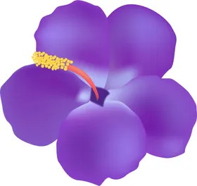 写实花卉唯美水彩朵素材大自然漂亮