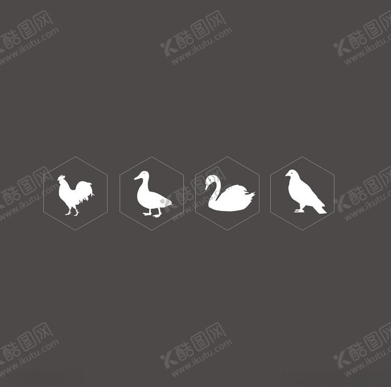 编号：69752102240854057854【酷图网】源文件下载-鸡鸭鹅鸽子