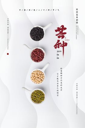 芒种传统简洁节气海报展板