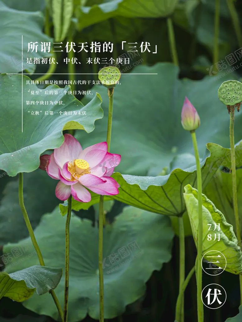 编号：61284309130037092165【酷图网】源文件下载-三伏天