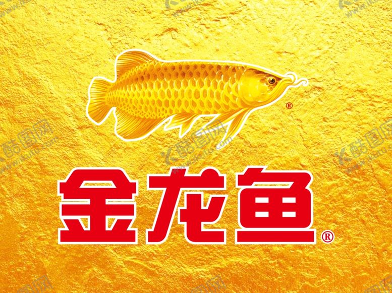 编号：72662001270002084389【酷图网】源文件下载-金龙鱼