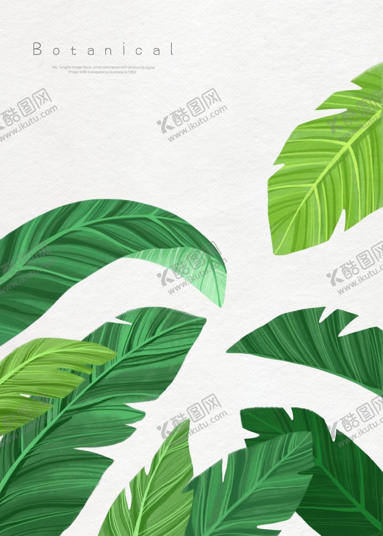 编号：53093907051350332825【酷图网】源文件下载-手绘绿色植物插画线稿图片