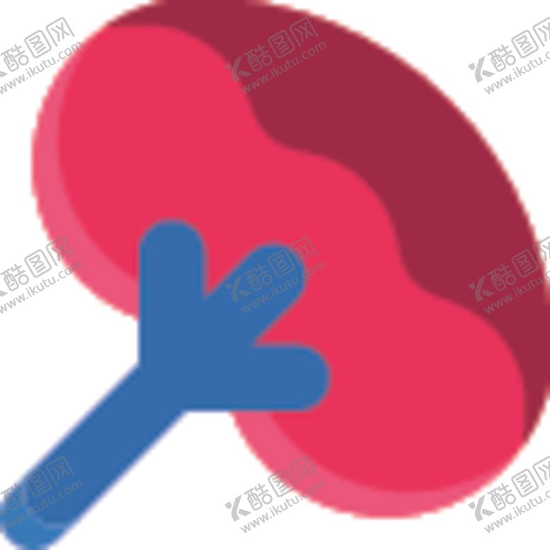 编号：40627807030614158803【酷图网】源文件下载-肾脏