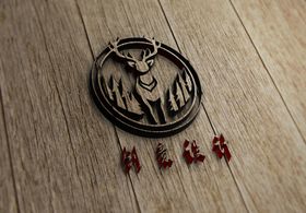 LOGO效果图样机图片