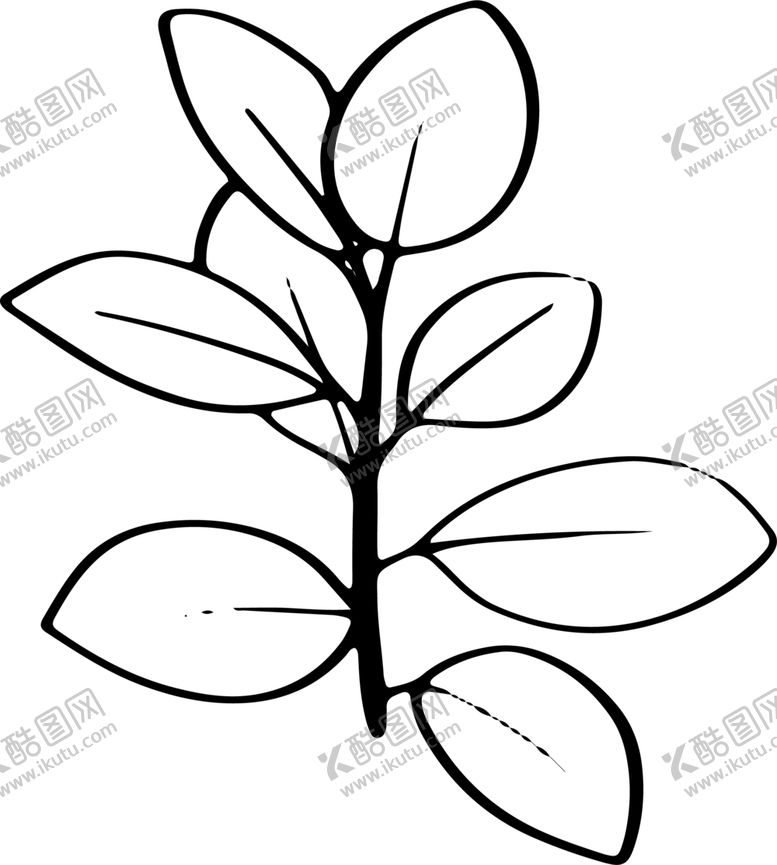 编号：49244810281306326486【酷图网】源文件下载-黑白手绘植物