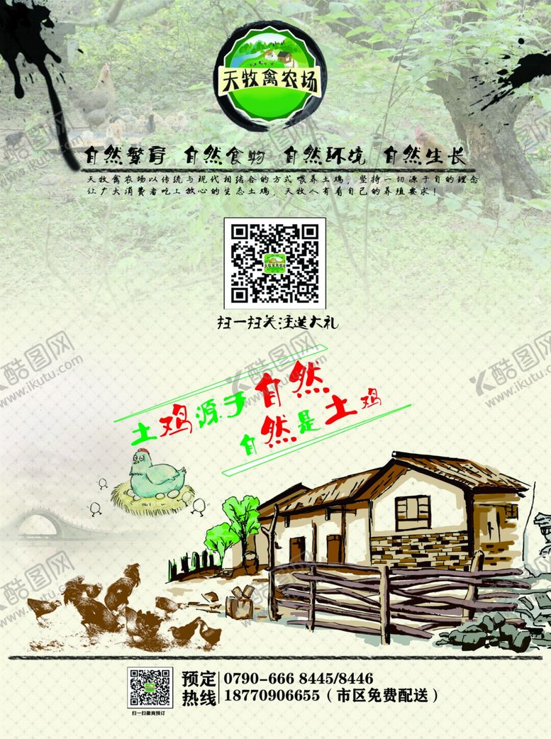 编号：68362610230259561661【酷图网】源文件下载-土鸡创意海报