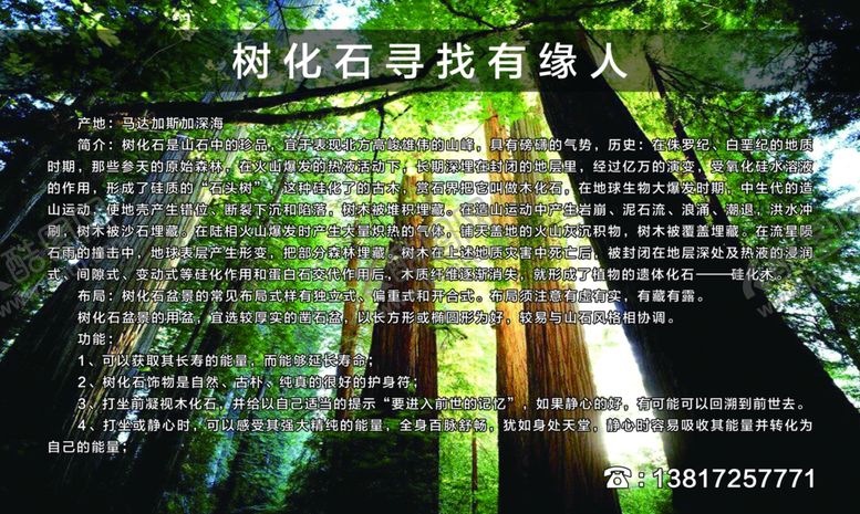编号：22589607032350484987【酷图网】源文件下载-树石化介绍