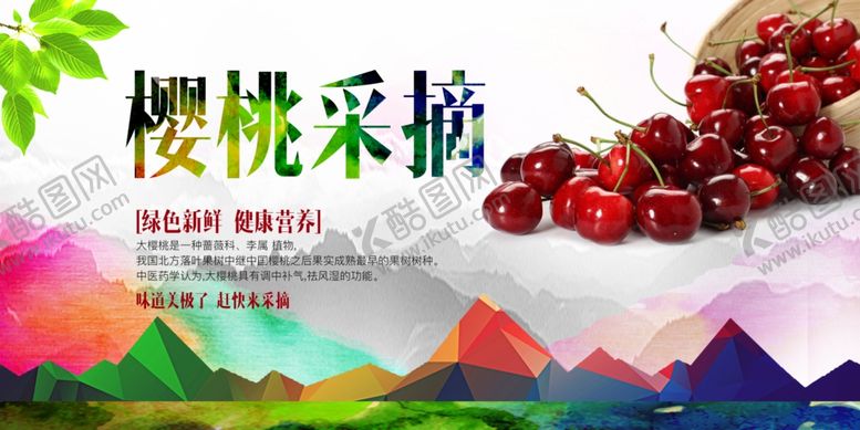 编号：57897506292238241467【酷图网】源文件下载-樱桃采摘开启甜蜜之旅