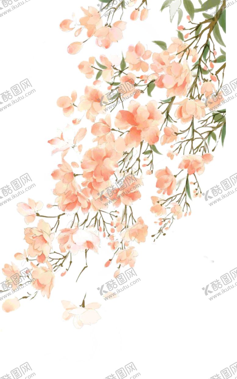 编号：95094407021650456792【酷图网】源文件下载-黄花