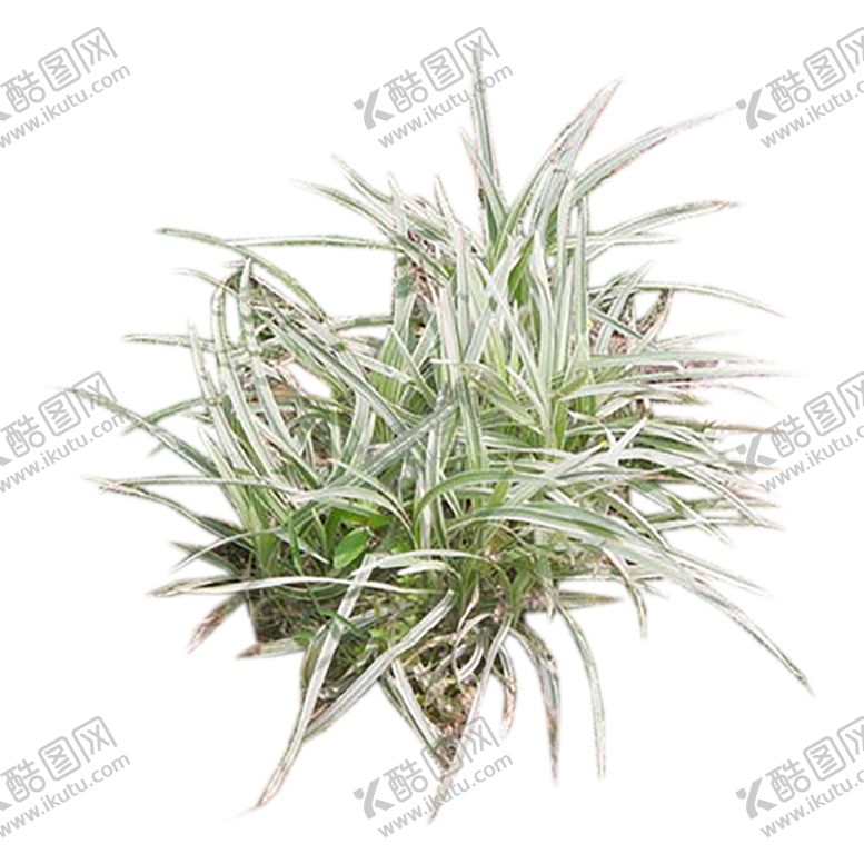 编号：85199510040518203177【酷图网】源文件下载-绿色植物