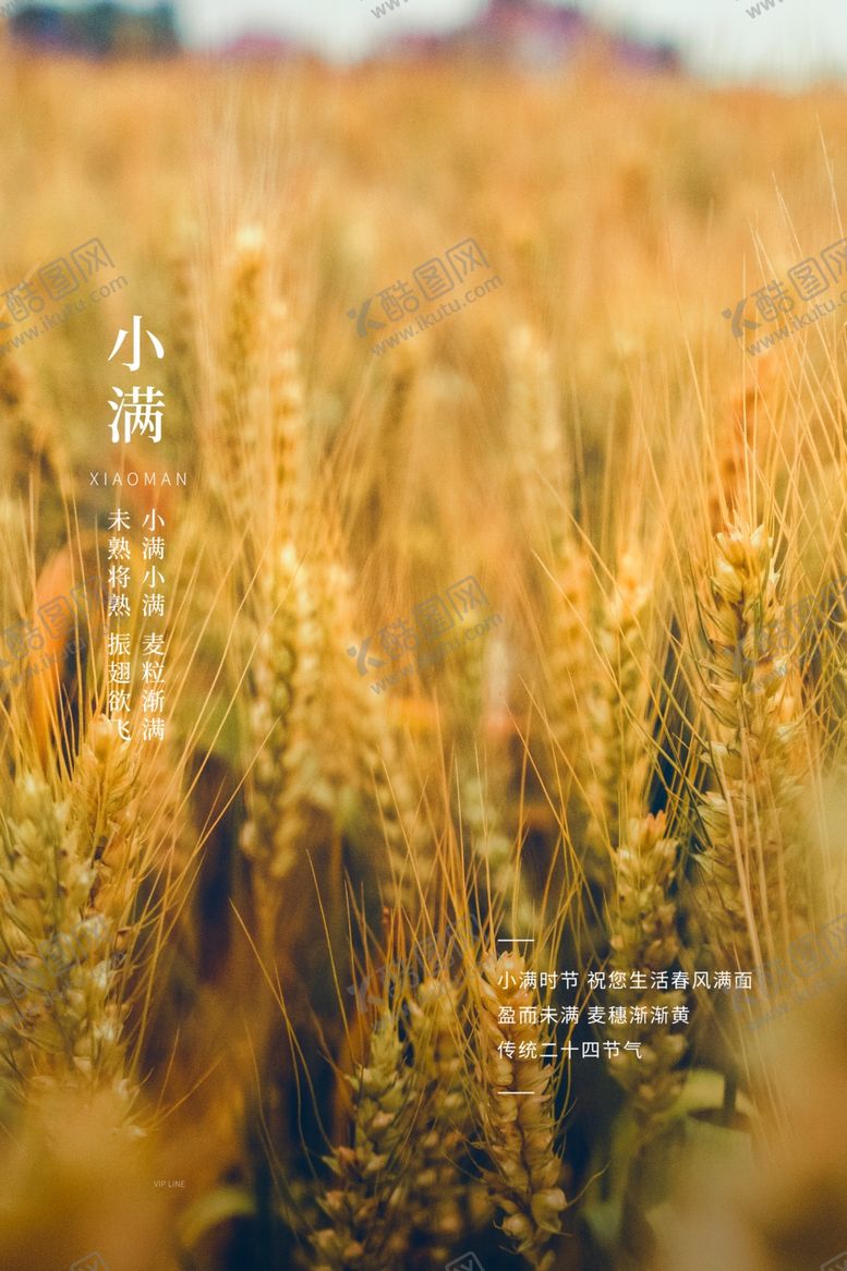 编号：66527409120231435731【酷图网】源文件下载-小满节气海报