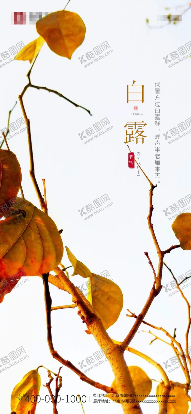 编号：70856309131020030952【酷图网】源文件下载-中国传统节气白露海报秋天