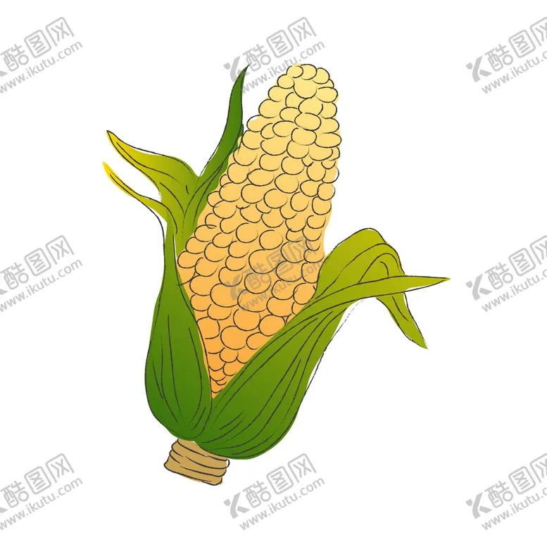 编号：57360909231056474502【酷图网】源文件下载-玉米