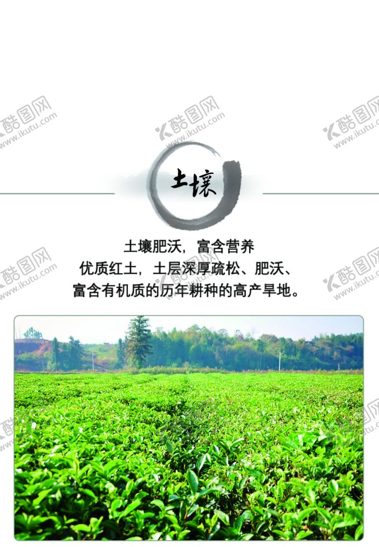 编号：18860409281209554189【酷图网】源文件下载-茶宣传茶文化