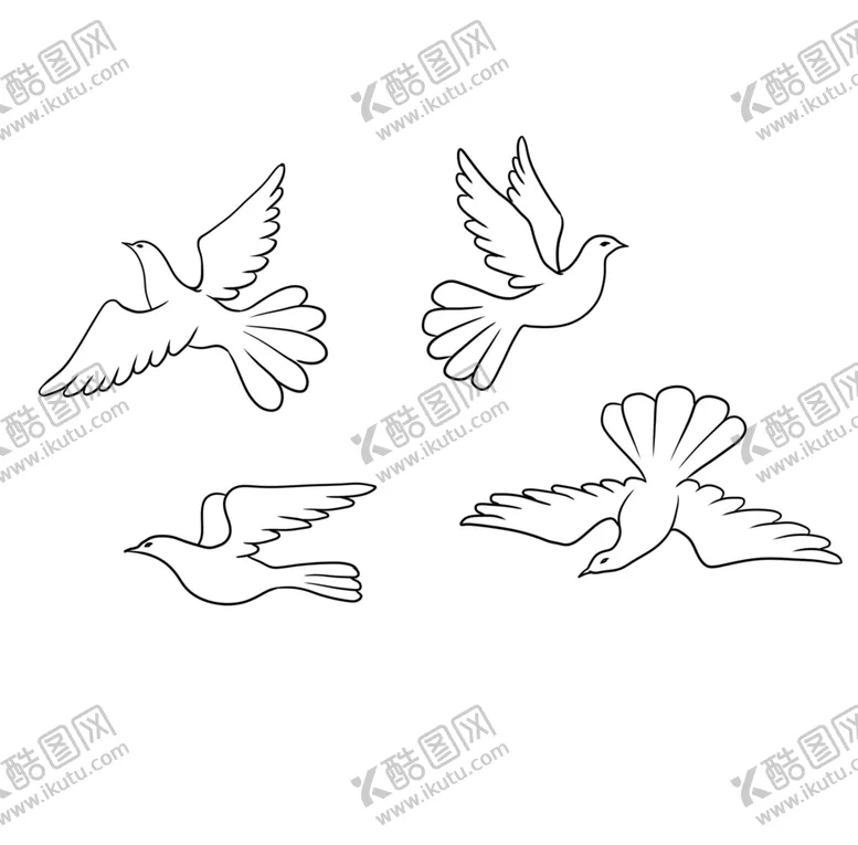 编号：79579803230754376532【酷图网】源文件下载-线描白鸽