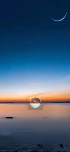 节气海报