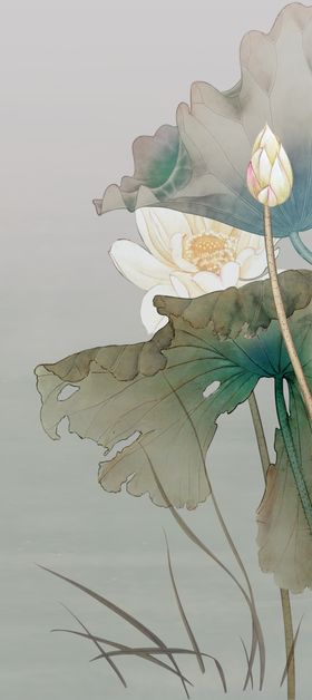 张大千水墨荷