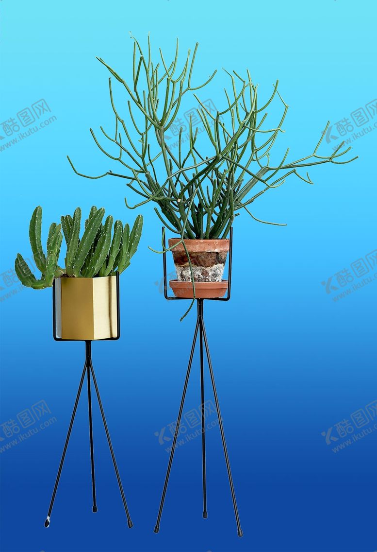 编号：23204310130539323114【酷图网】源文件下载-花艺