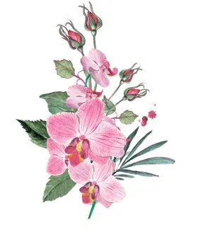 手绘花卉